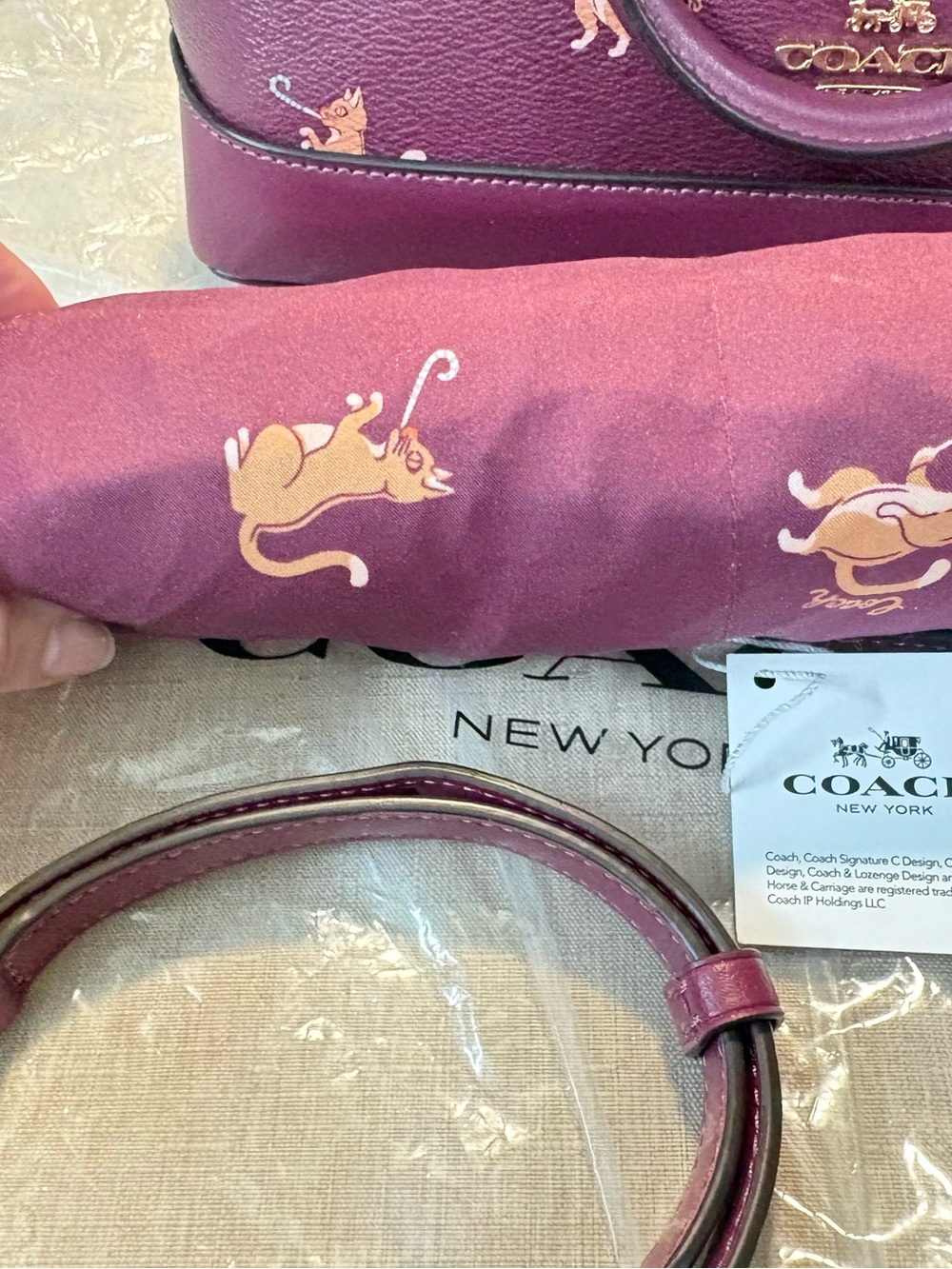 Coach Party Cat set - Picture 12 of 12